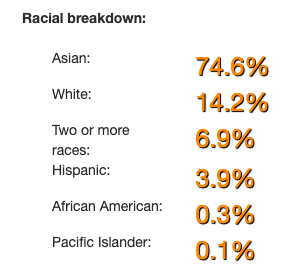 Somerset Elementary School racial breakdown