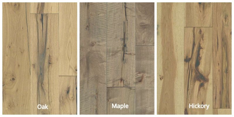 oak maple hickory hard floor