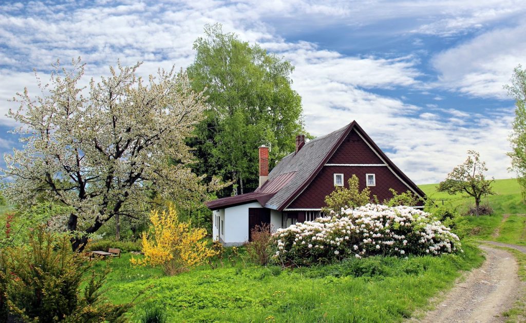everything you need to know about buying home