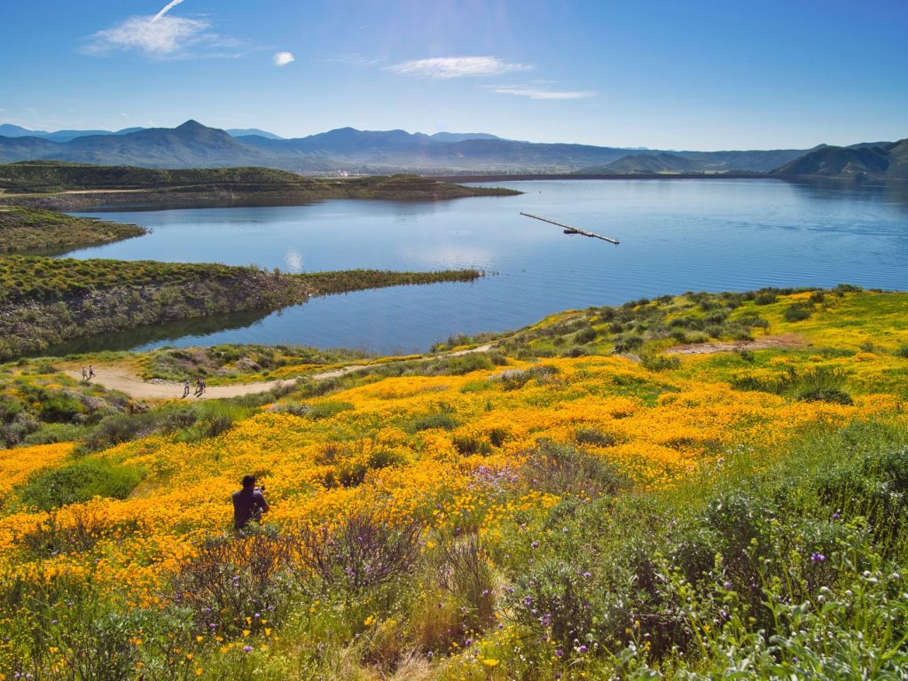Lake Hemet Riverside CA with wildflowers